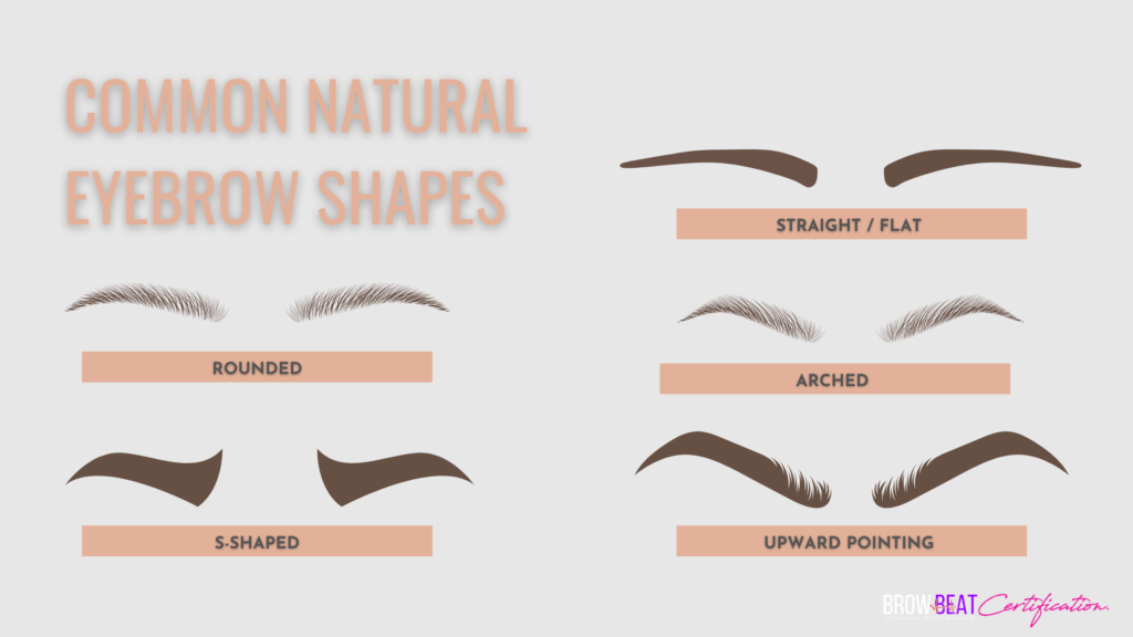 6 Steps to Find Natural Eyebrow Shape: A Student’s Quick-start Guide ...