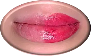 Learn Lip Blushing