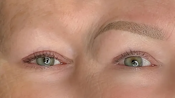 Better Understanding of Brow Artistry