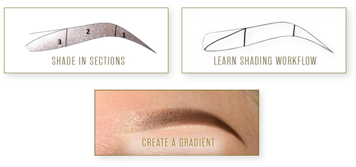 Gradient diagram from light to dark for ombré shading technique