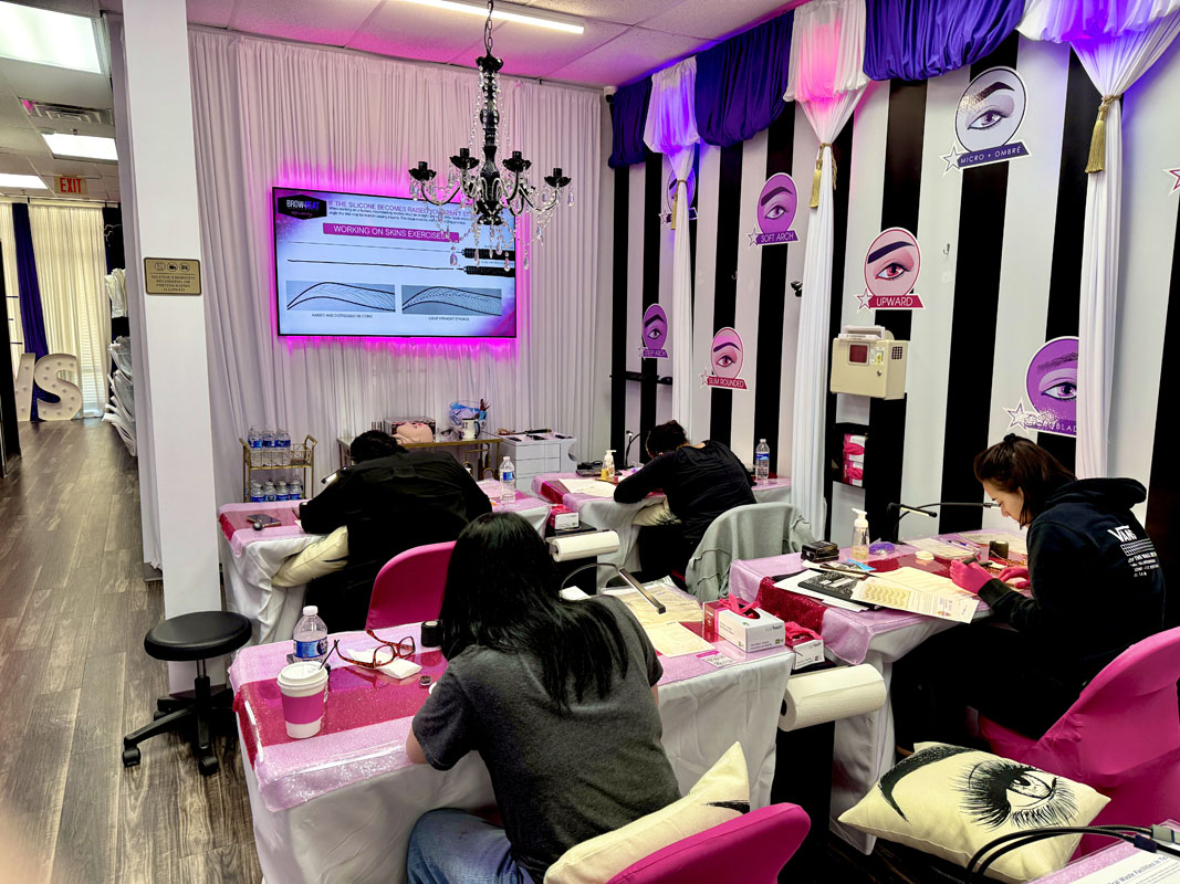 Microblading Training With Overhead Monitor classroom training screen showing stroke formation guidance